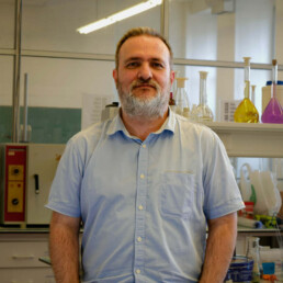 Mário J. F. Calvete