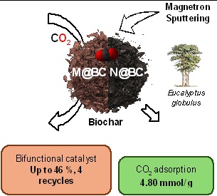 Modified biochar materials from Eucalyptus globulus wood as efficient CO₂ adsorbents and recyclable catalysts
