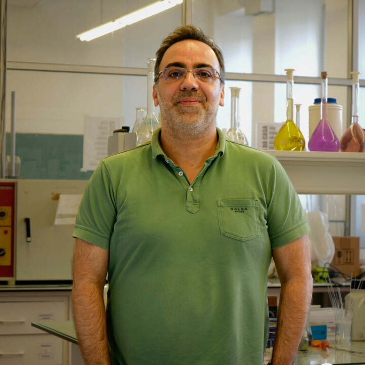 Rui M. B. Carrilho