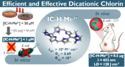 Efficient and selective, in vitro and in vivo, antimicrobial photodynamic therapy with a dicationic chlorin in combination with KI